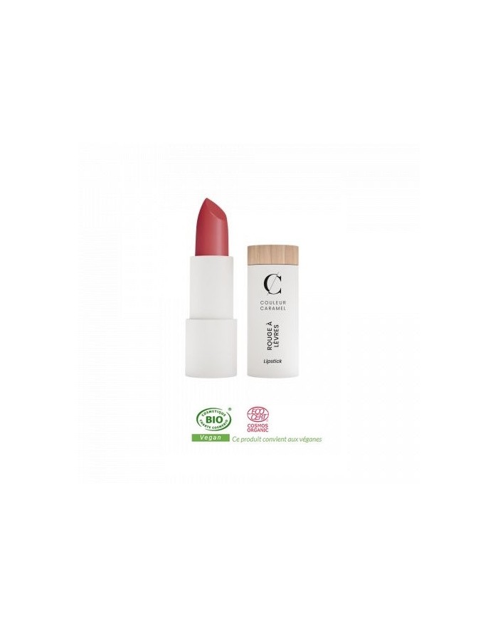 TESTEUR CC - Rouge à lèvres satiné 296 • Bois de Rose Intense