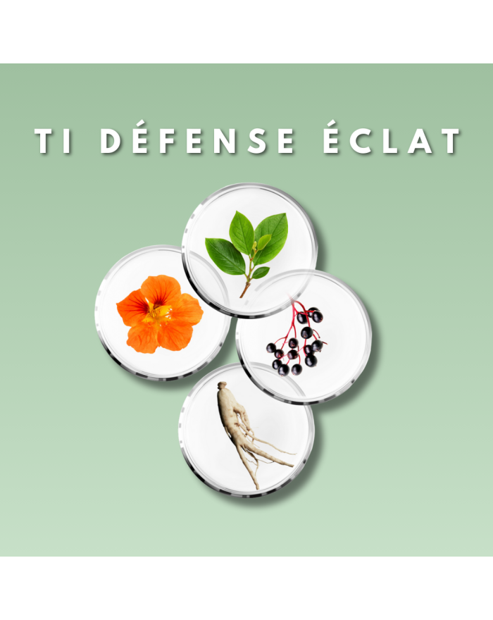 TI Défense Éclat